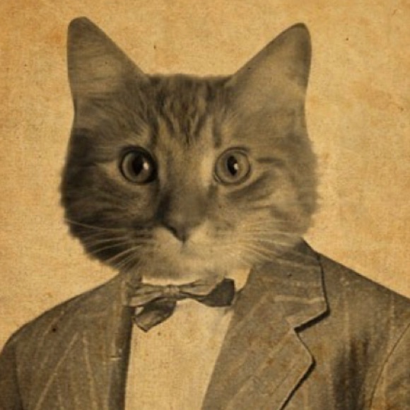 pussinsuits